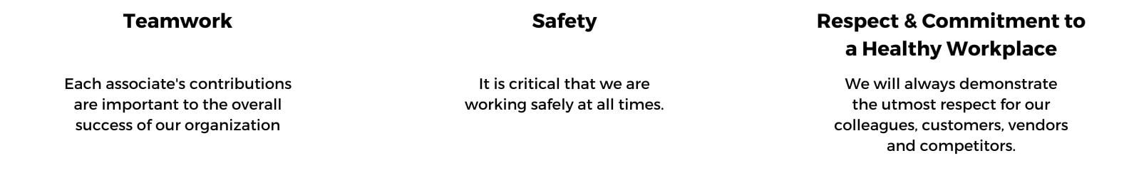 Website Values (1)